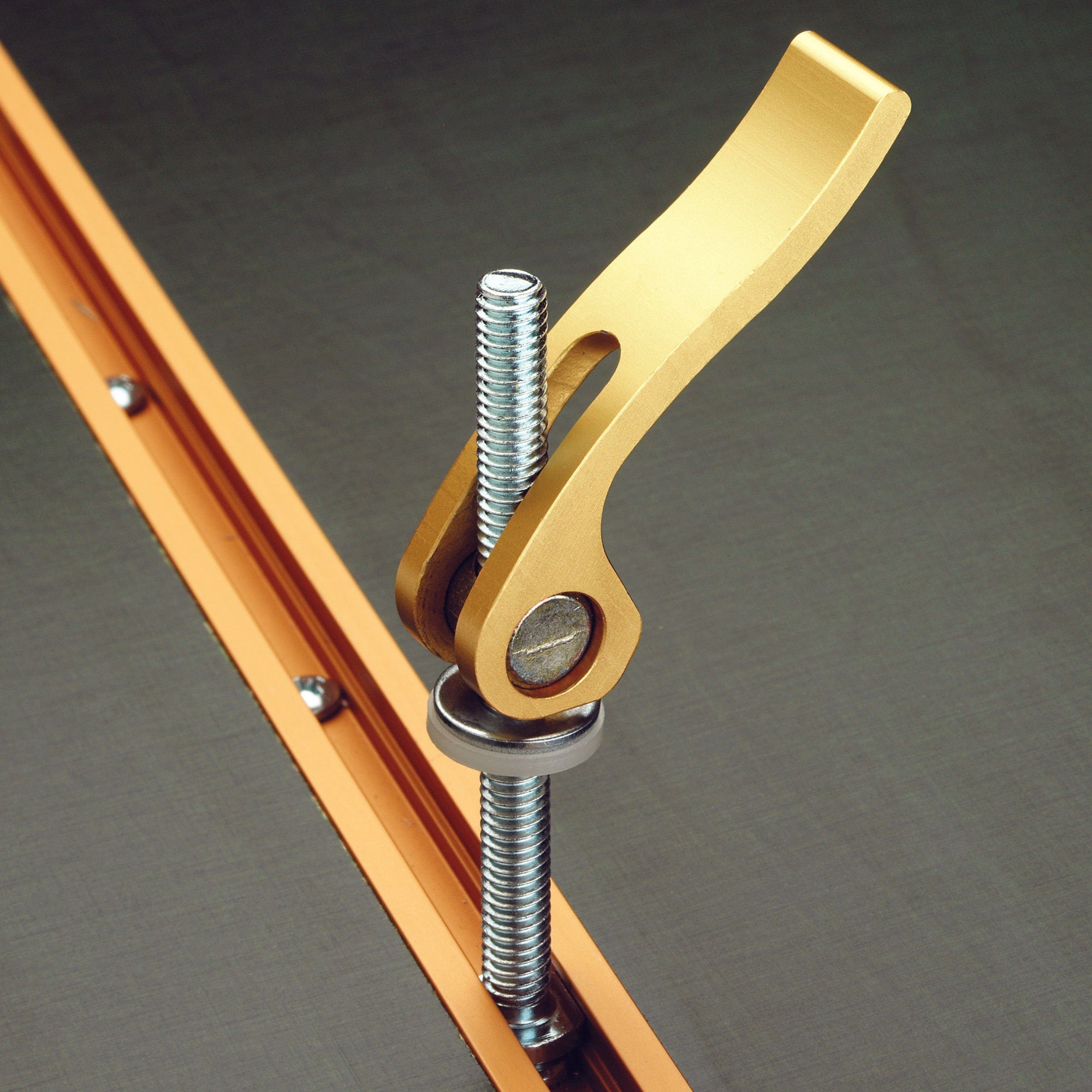 Cam Action Hold Down alt 0