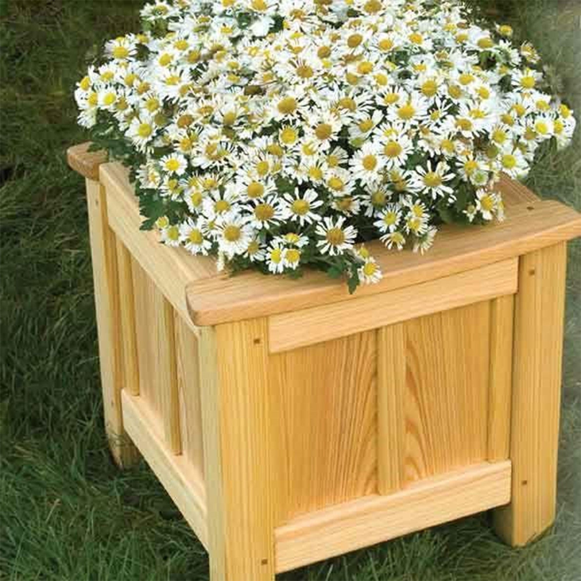 Woodworking Project Paper Plan to Build Garden Planter alt 0