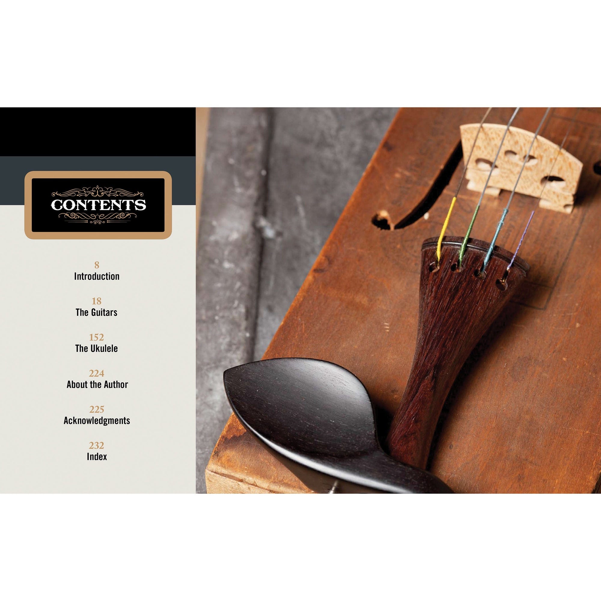 Obsessed with Cigar Box Guitars, Second Edition alt 0