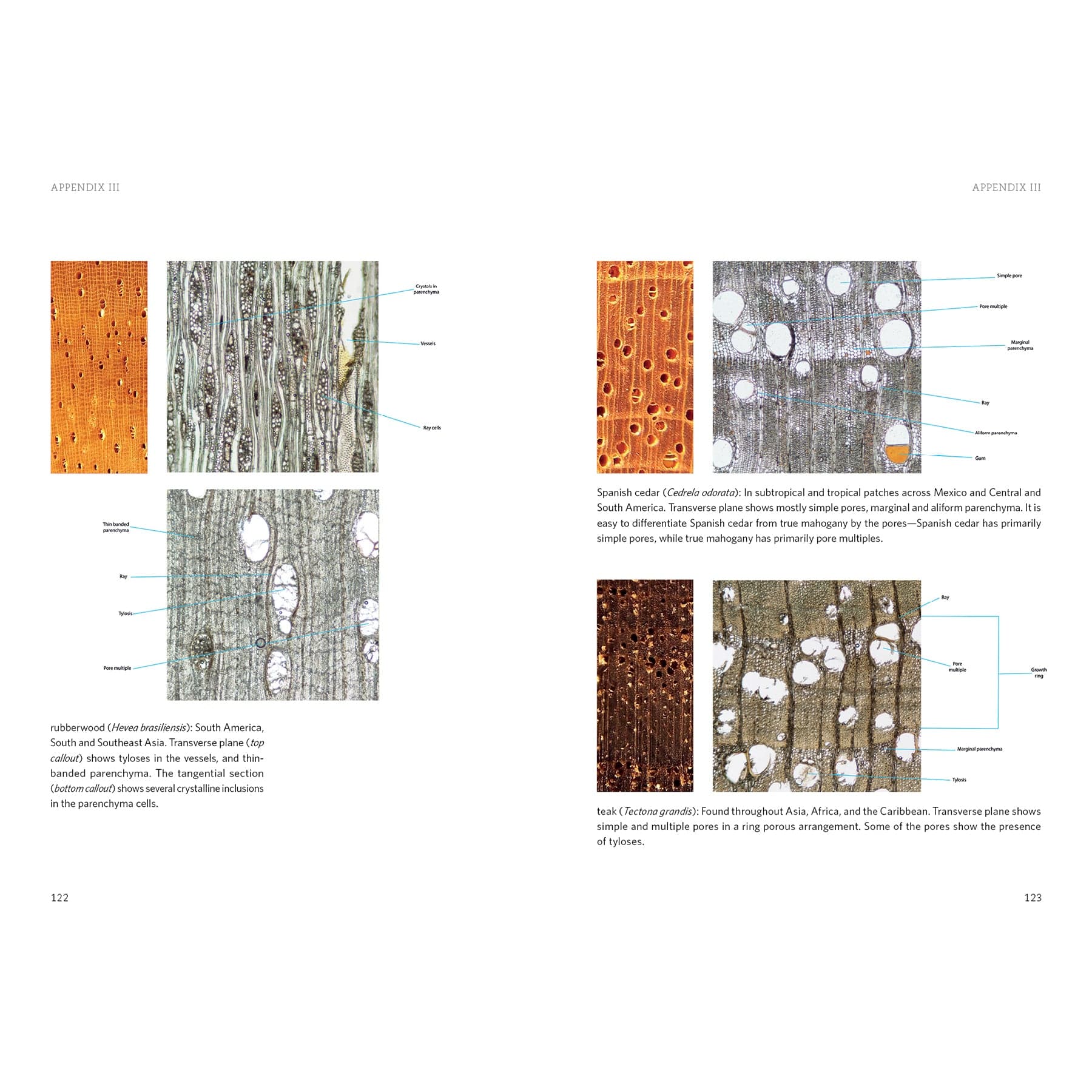 Living with Wood alt 0