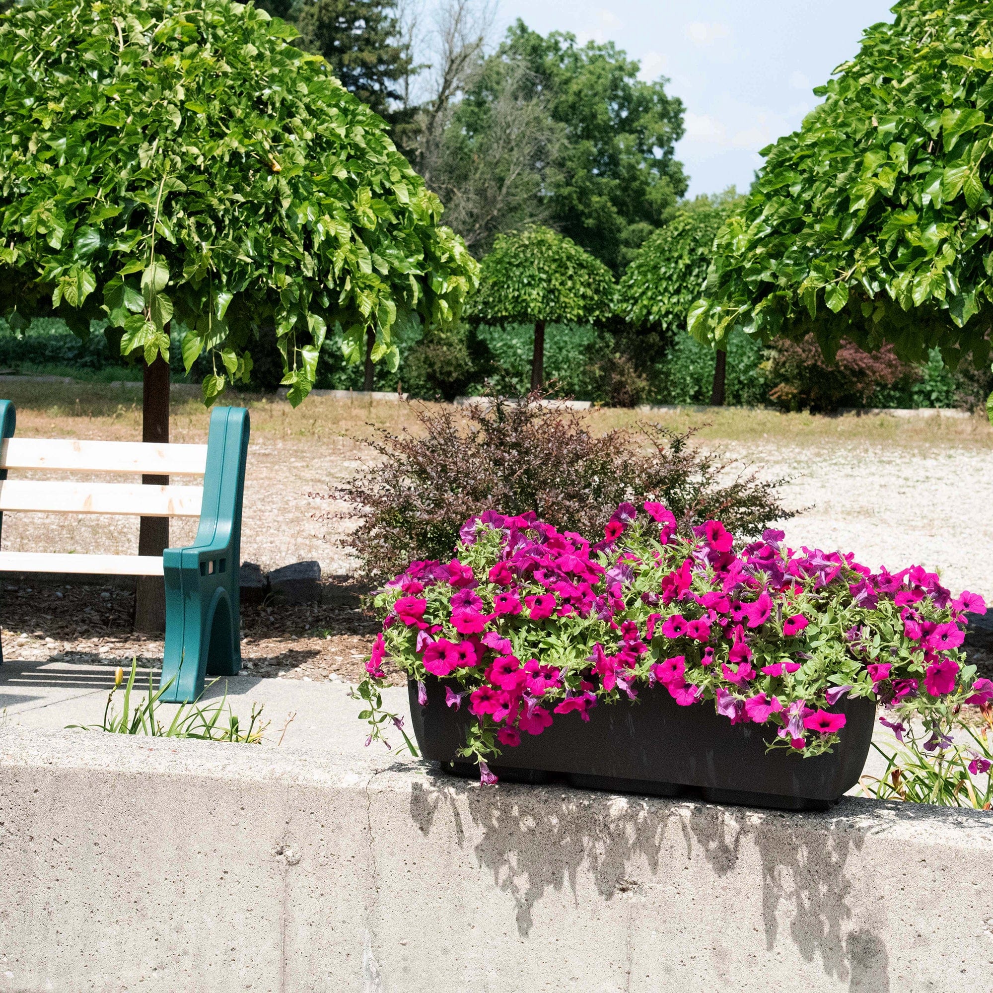 36" x 15" Rectangular Planter Black alt 0