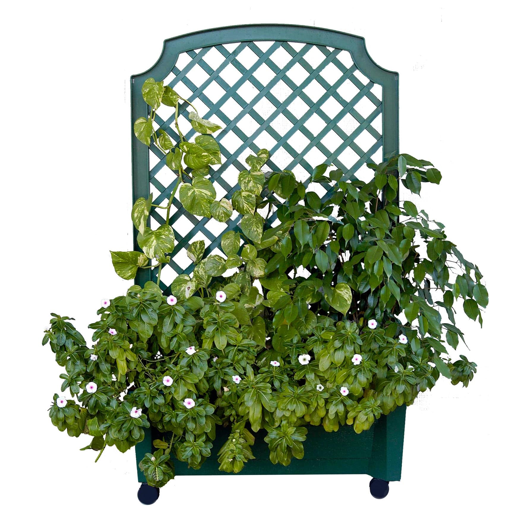 Calypso Planter Trellis Green alt 0