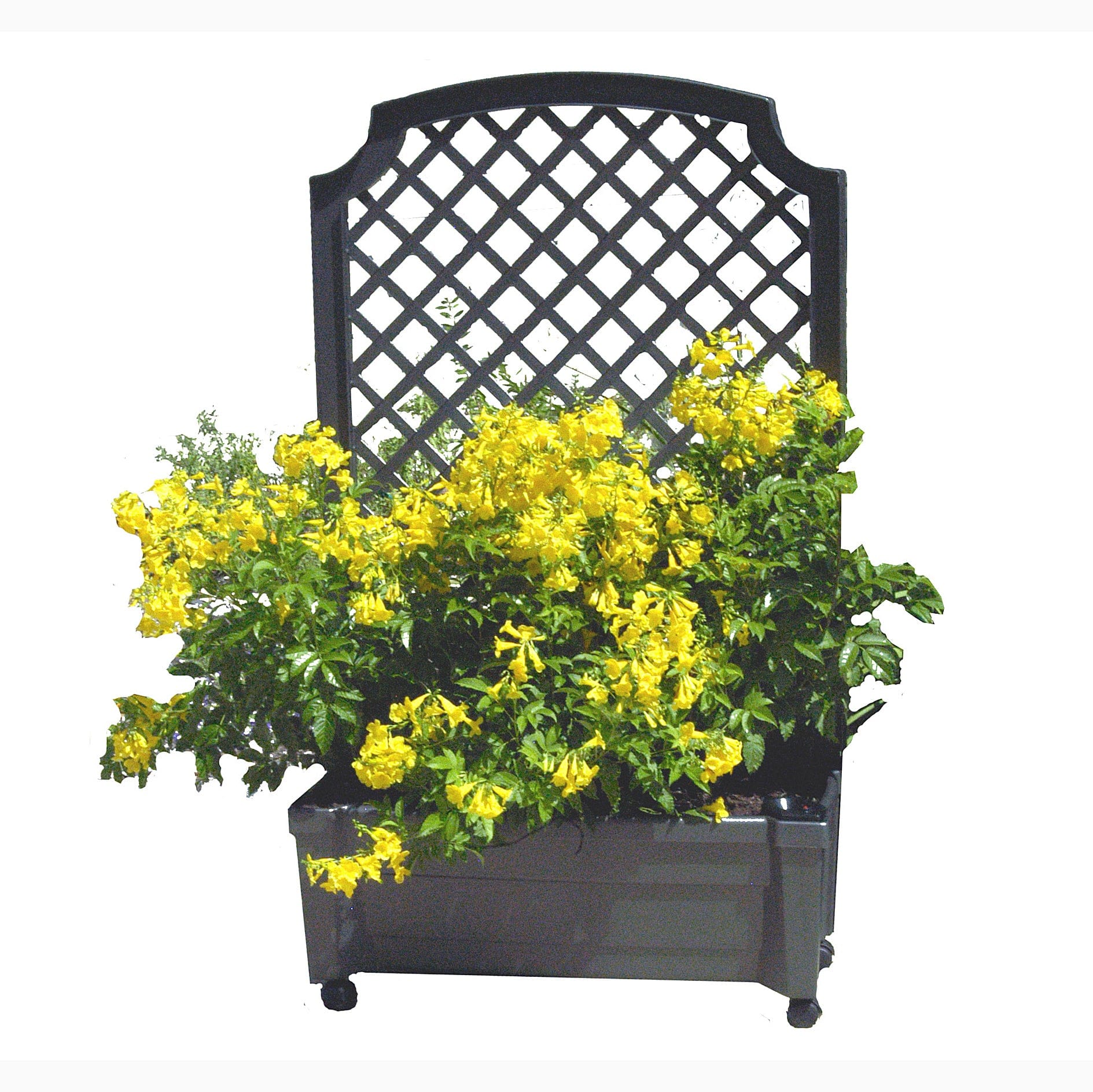 Calypso Planter Trellis Anthracite Gray alt 0