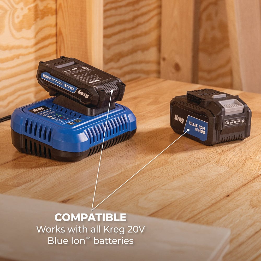 Blue Ion Fast Charger - 20V