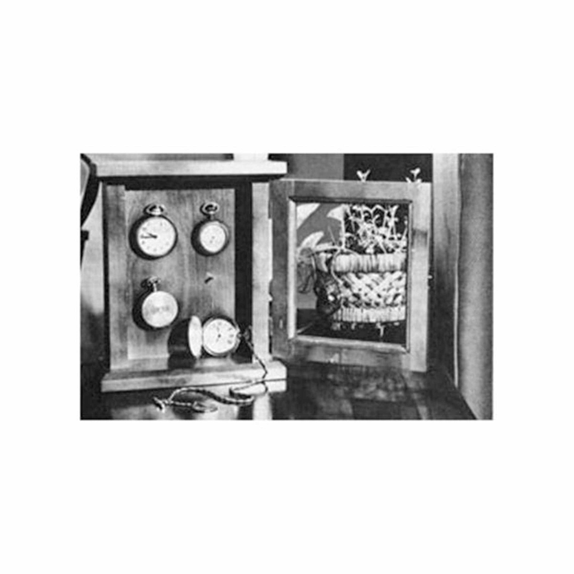 Woodworking Project Paper Plan to Build Watch Display Case alt 0