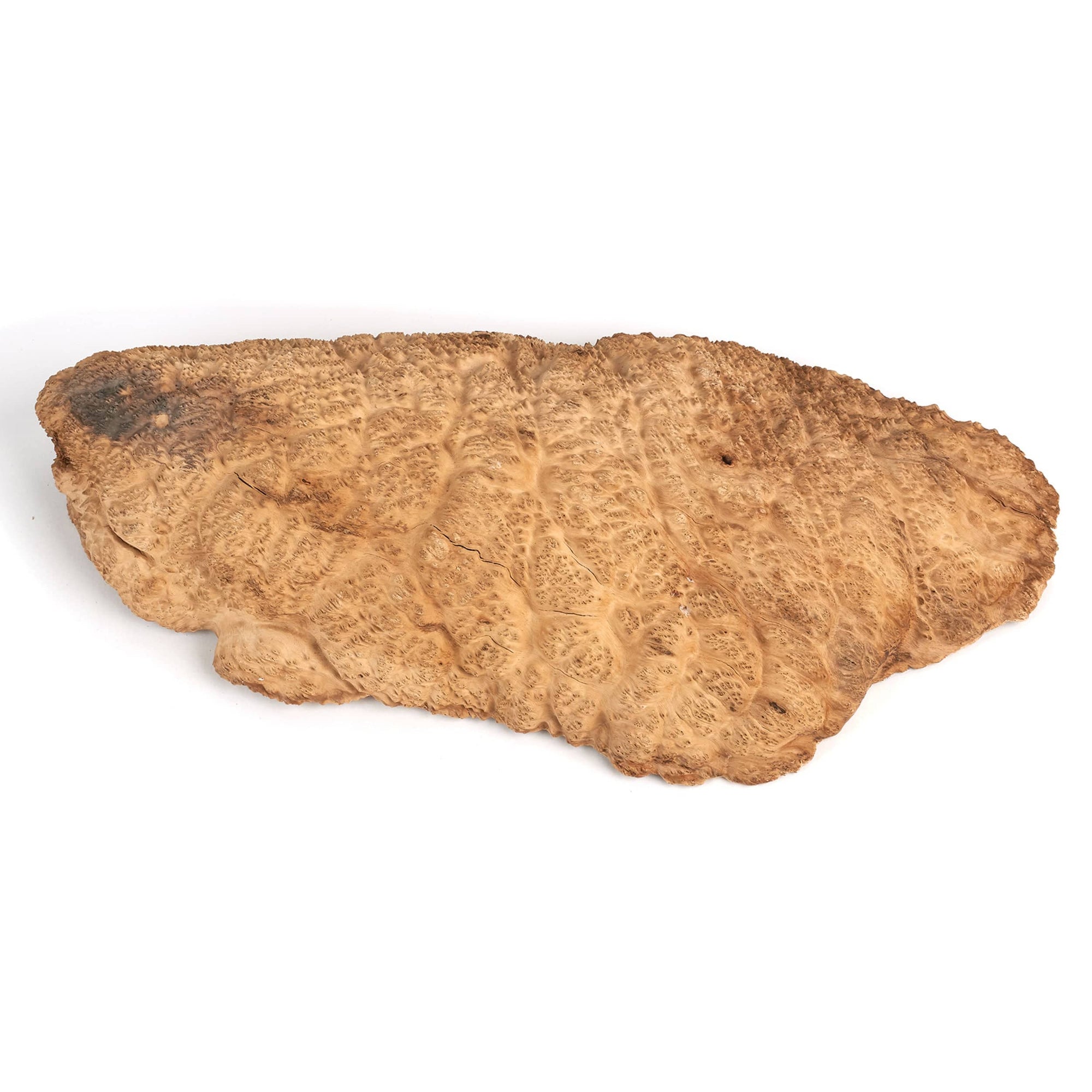 Australian Brown Mallee Burl Cap - 2 kg - 4 kg alt 0
