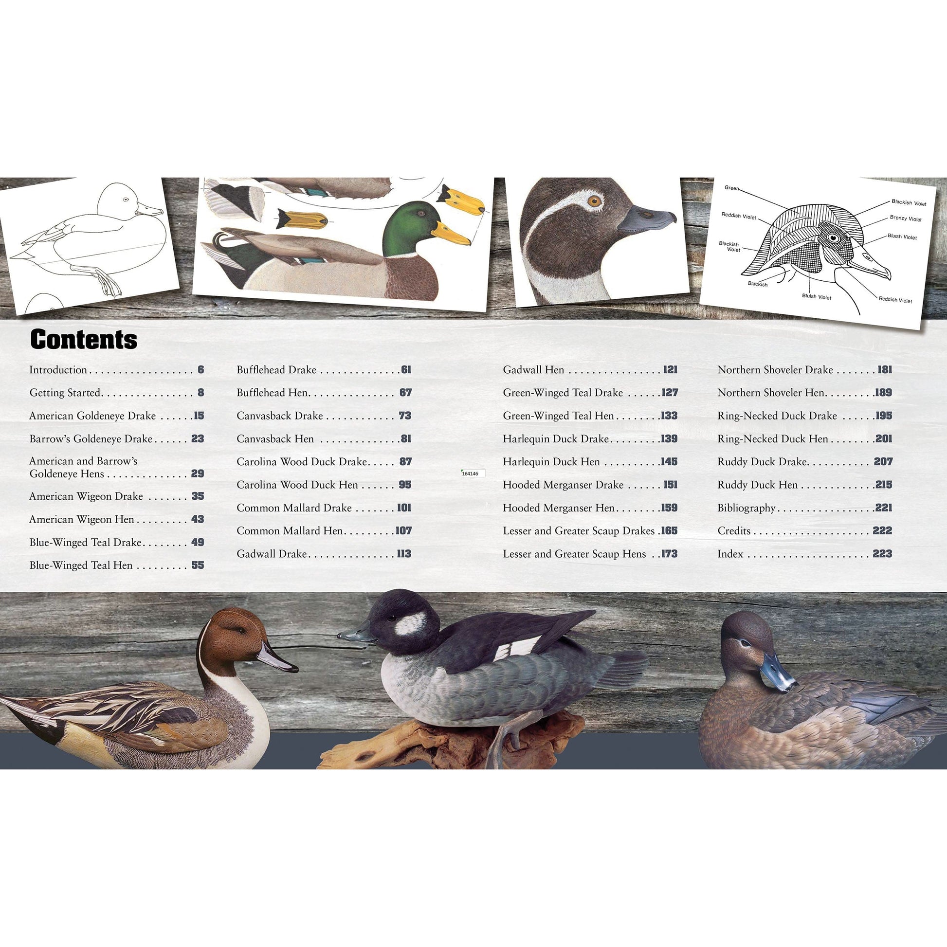 Decorative Decoy Carver's Ultimate Painting and Pattern Portfolio, Revised Edition alt 0