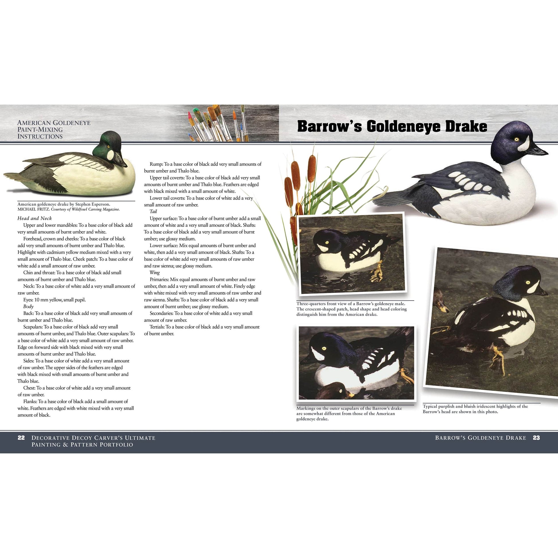 Decorative Decoy Carver's Ultimate Painting and Pattern Portfolio, Revised Edition alt 0