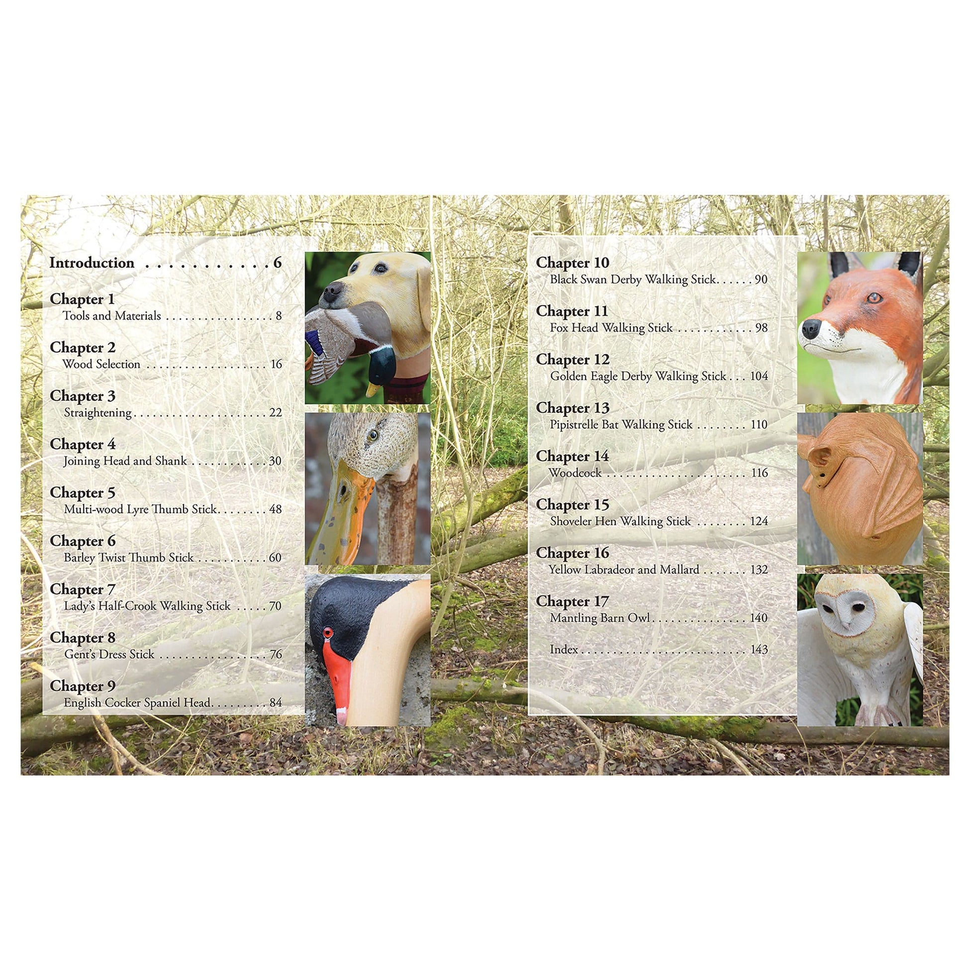 Carving Creative Walking Sticks and Canes alt 0