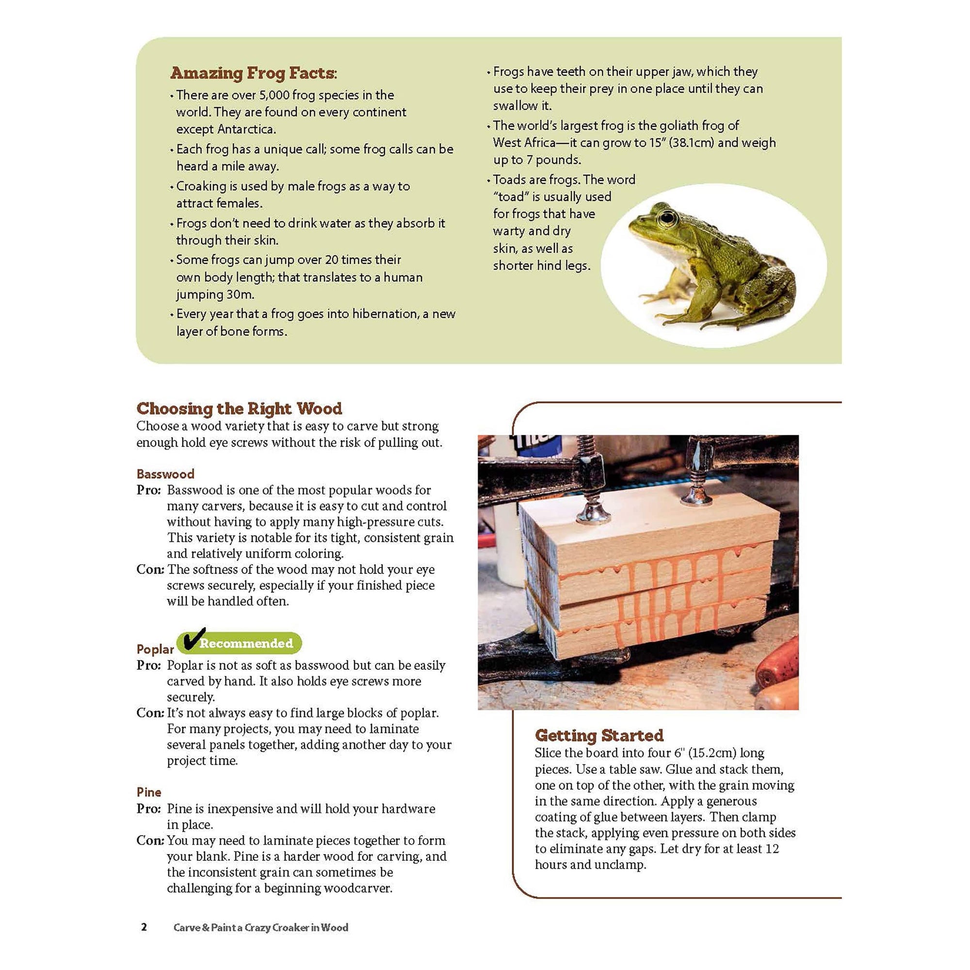 Carve & Paint a Crazy Croaker in Wood alt 0