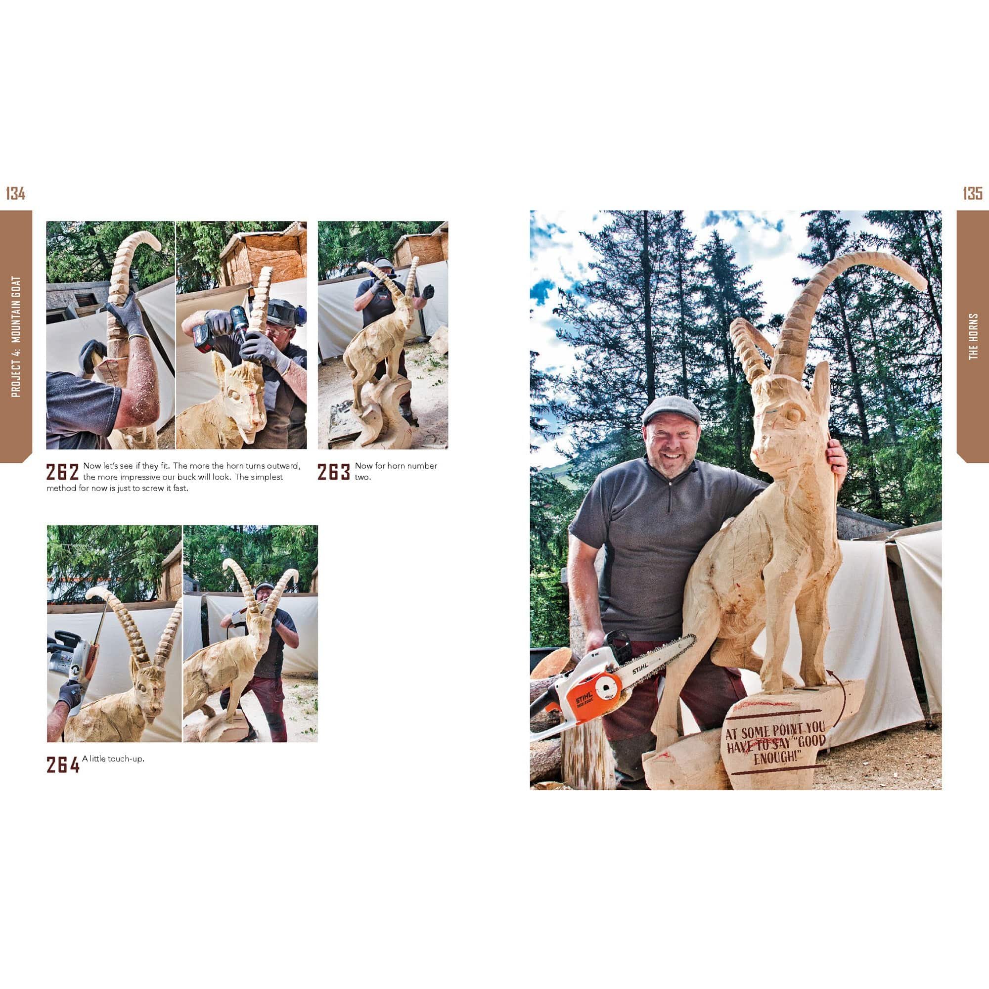 Chainsaw Carving for Beginnners alt 0