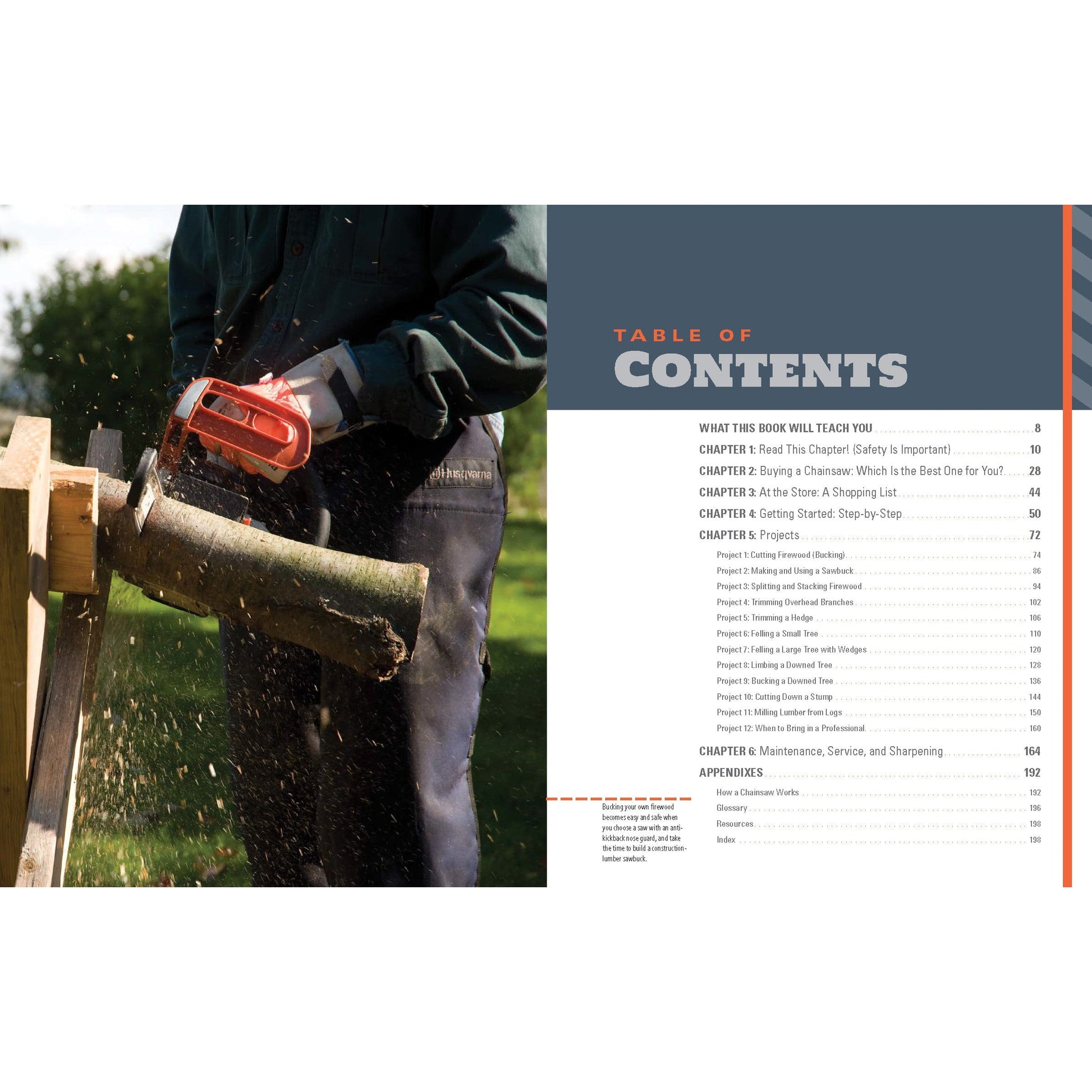 Chainsaw Manual for Homeowners alt 2