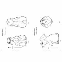 Carving Wooden Critters alt 3