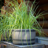 Polyethylene Whiskey Barrel Planter Brown Woodgrain with Black Stripes alt 0