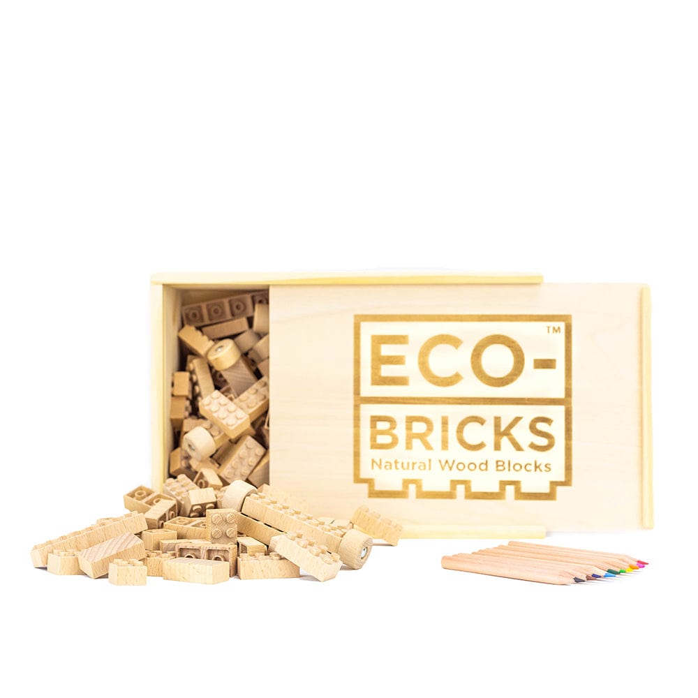 Eco-Bricks Classic Wooden Craft Kit - 250 Piece