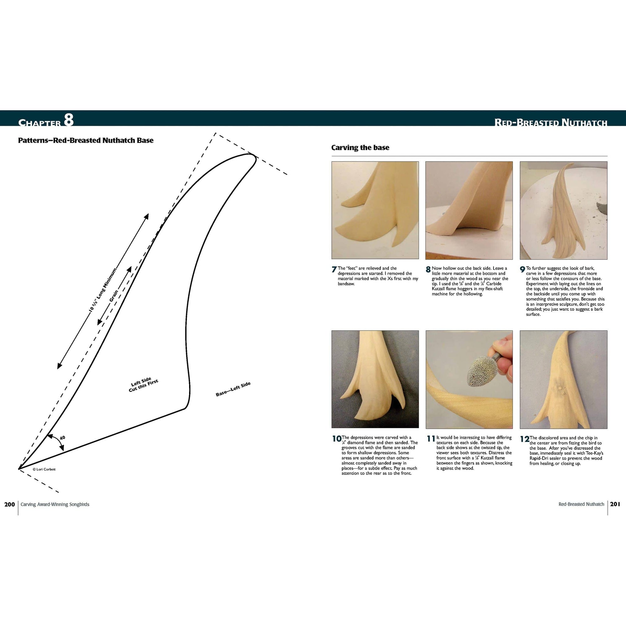Carving Award-Winning Songbirds alt 0