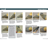 Carving Award-Winning Songbirds alt 0