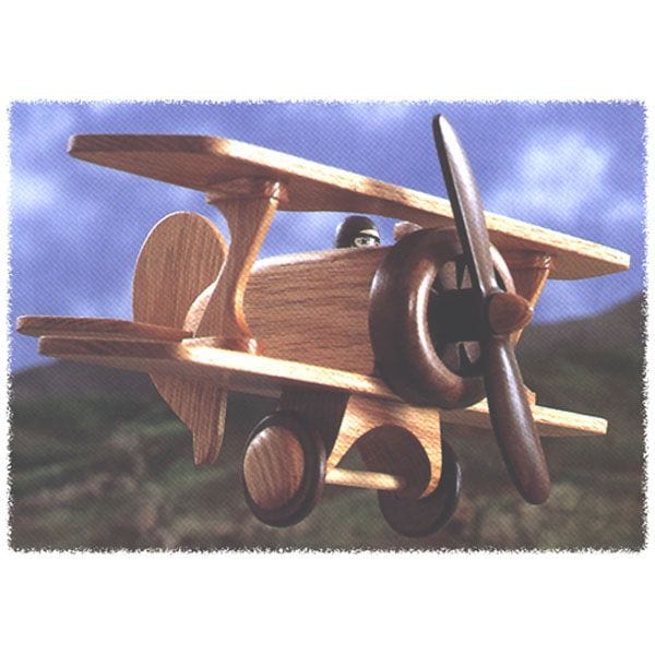 Woodworking Project Paper Plan to Build Biplane alt 0