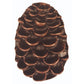 Pine Cone Pull, Antique Copper, Model 325AC alt 0