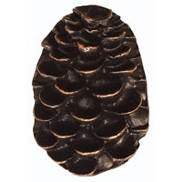 Pine Cone Pull, Oil Rubbed Bronze, Model 325ORB alt 0