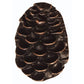 Pine Cone Pull, Oil Rubbed Bronze, Model 325ORB alt 0