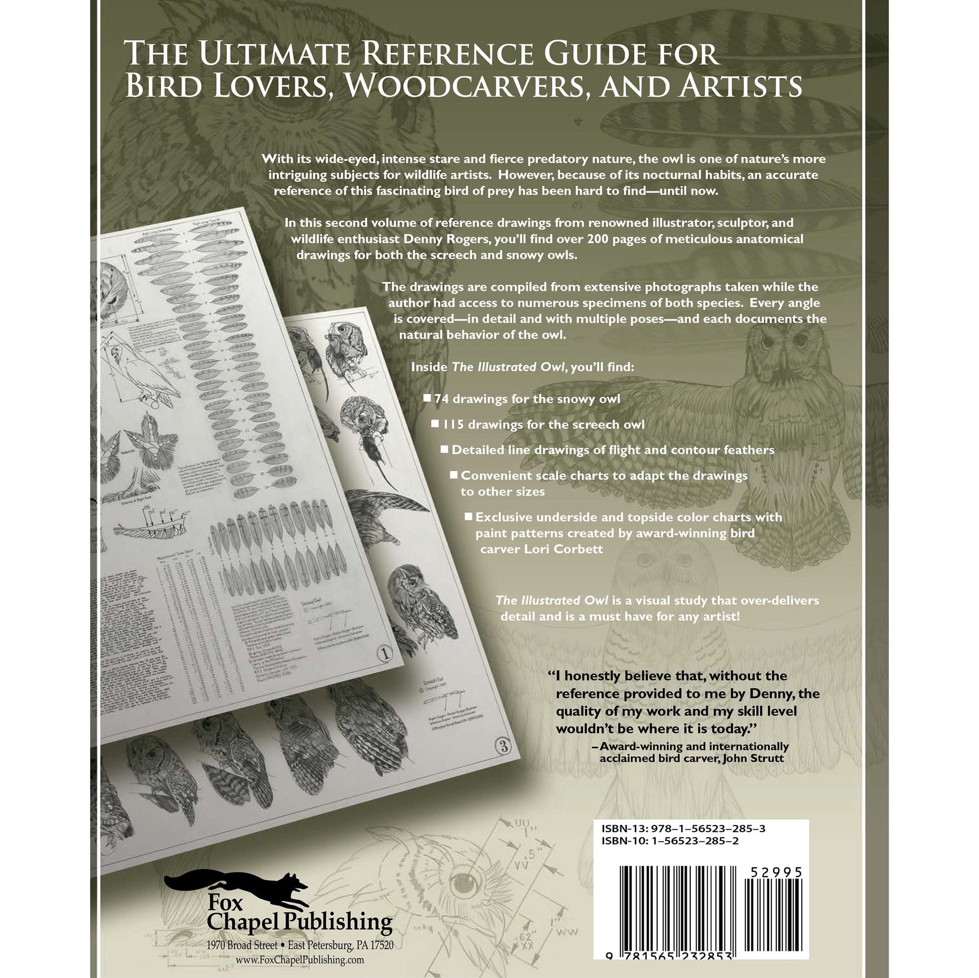 Illustrated Owl - Screech & Snowy: the Ultimate Reference for Bird Lovers, Woodcarvers, and Artists alt 0