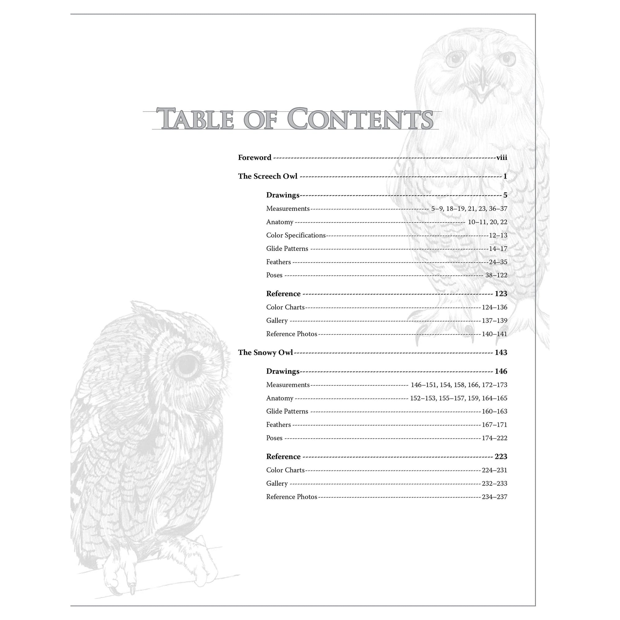 Illustrated Owl - Screech & Snowy: the Ultimate Reference for Bird Lovers, Woodcarvers, and Artists alt 0