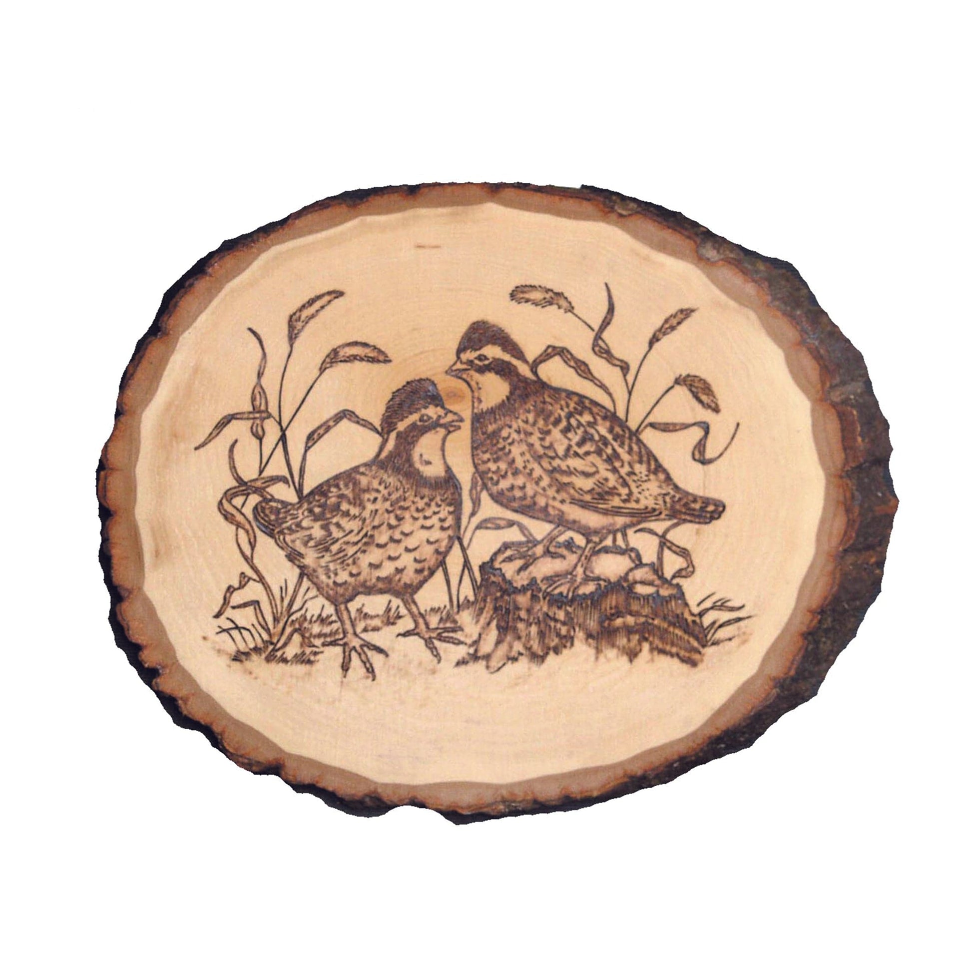 Basswood Country Rounds for Wood Burning, Hot Stamping & Carving - Medium alt 7