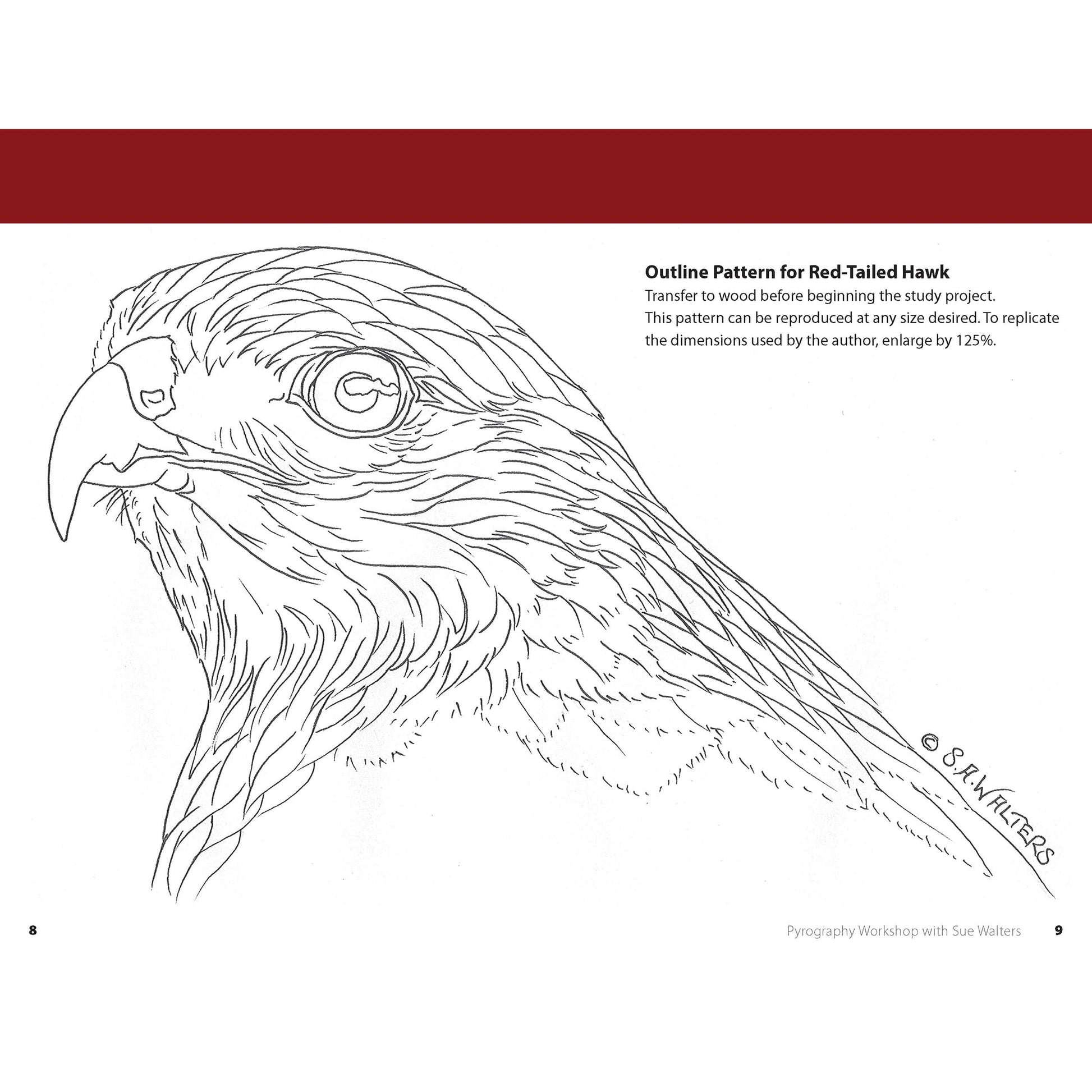 Pyrography Workshop with Sue Walters 2-DVD Set and Booklet alt 0