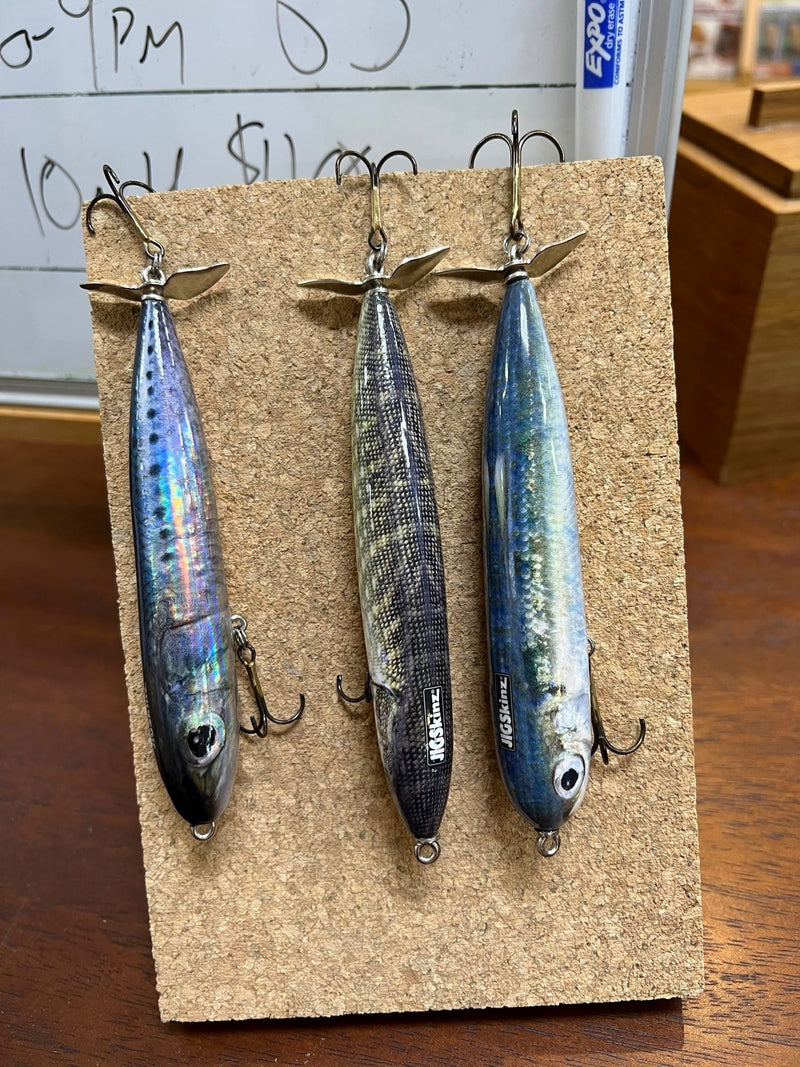 508_Fish.jpg