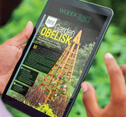 Collection of Project Plans