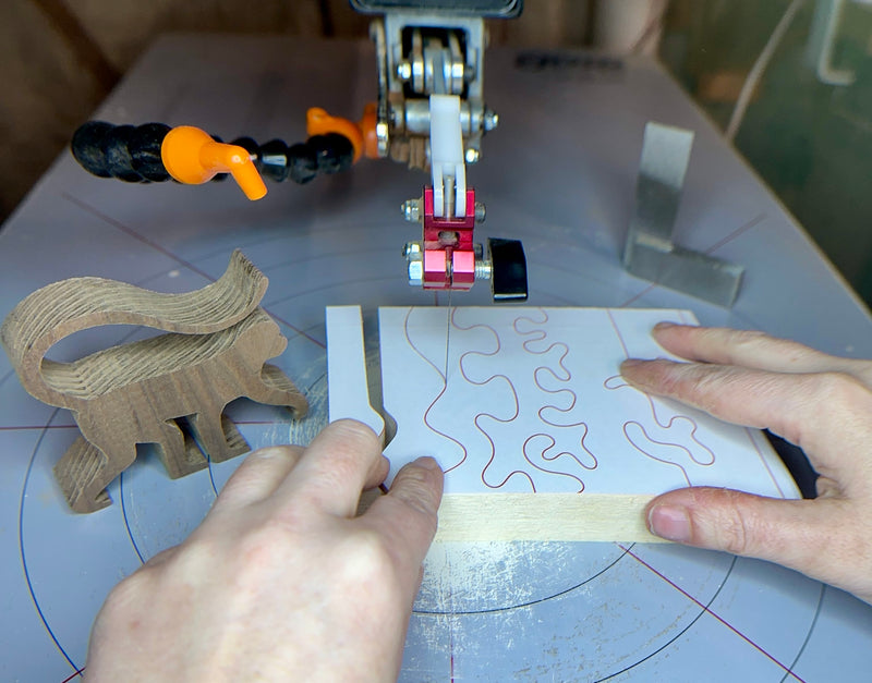 586_Scroll_Saw_for_Beginners.jpg
