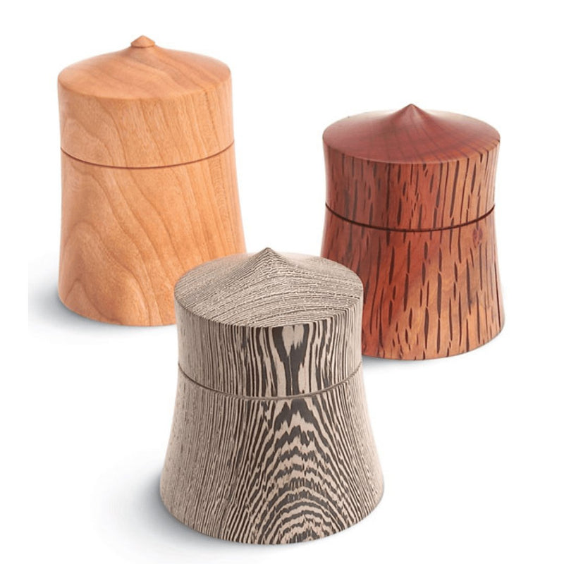 520_Turn_a_Lidded_Box.png