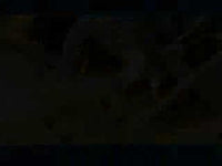 Support bracket alt 999